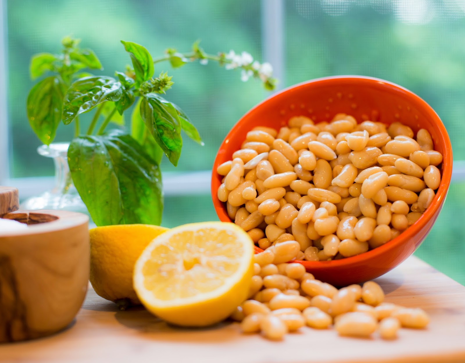 Straight to the Hips, Baby White Bean & Basil Dip