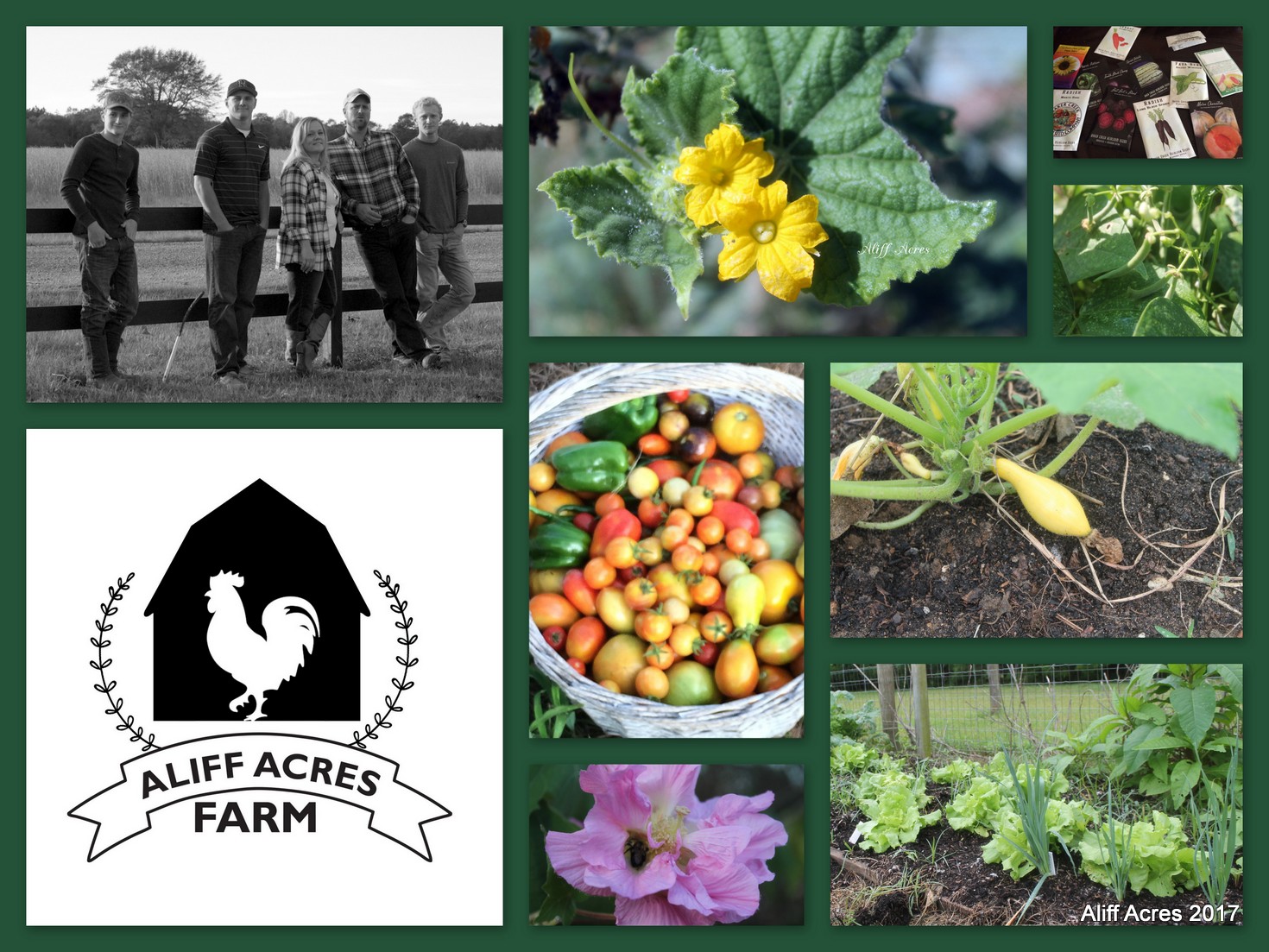Aliff Acres, CSA February 2016