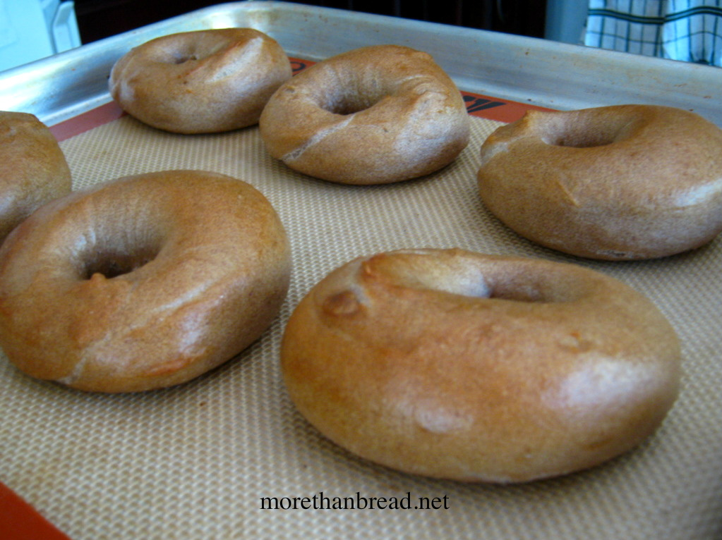 More Than Bread Whole Wheat Bagel