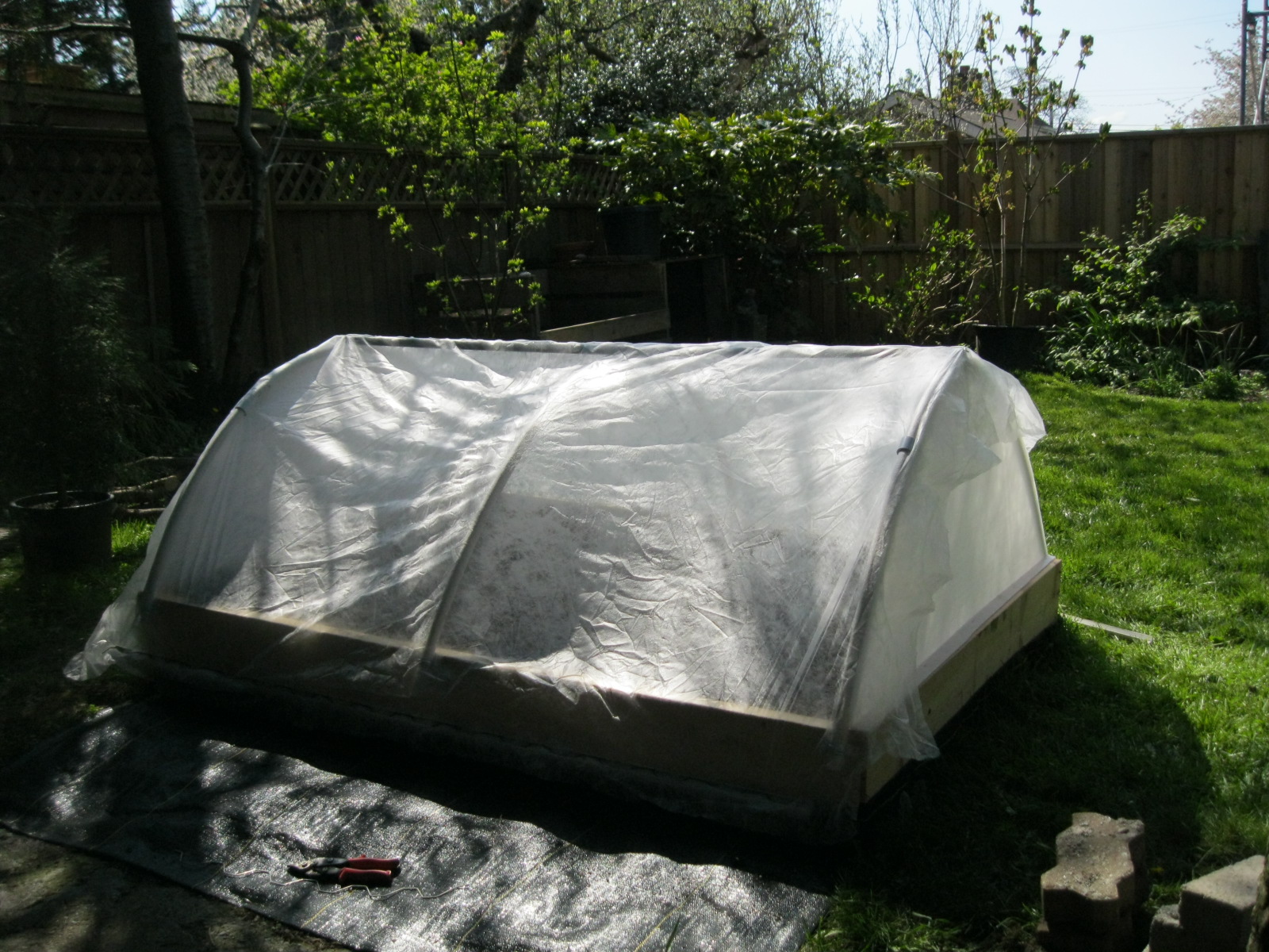 gumboot goddess in the kitchen carrot house