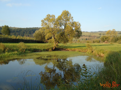 Lac pescuit Harghita