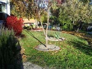 3 Things to Watch for when You’re Putting in a Lawn 3 Things to Watch for when You’re Putting in a Lawn