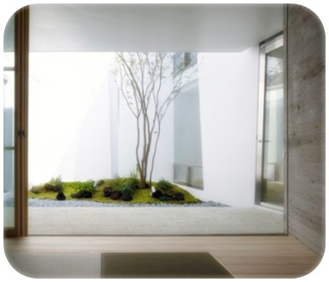 Contoh model taman minimalis dalam rumah