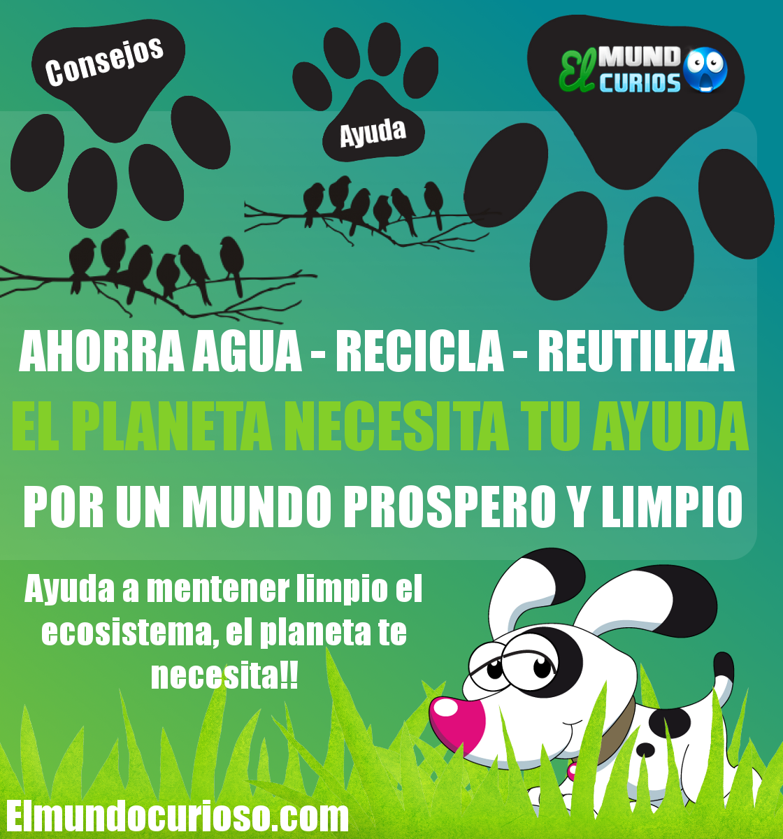 Consejo+2+Ayuda+al+ecosistema.png