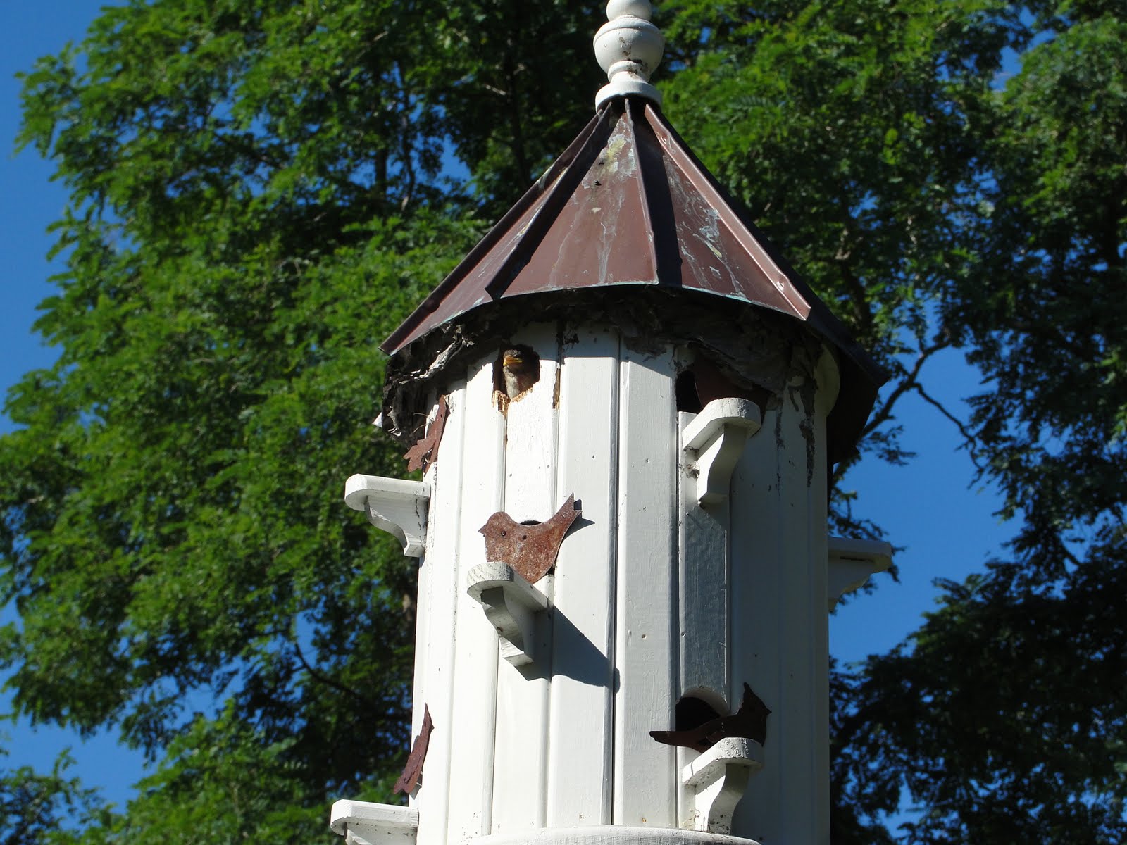 Cape Cod Art and Nature This bird house may seem like a good idea...