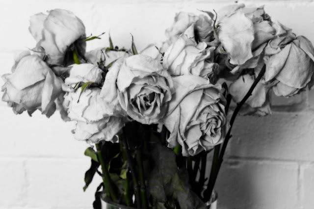 Picture of a bunch of white roses against white brick pattern