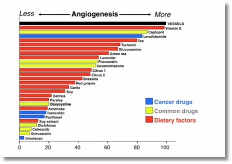 Angiogenesis Diet