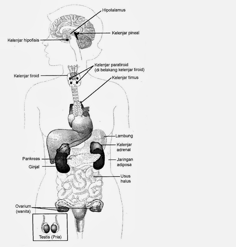 Wawasan Ku Meine Einsicht 2013