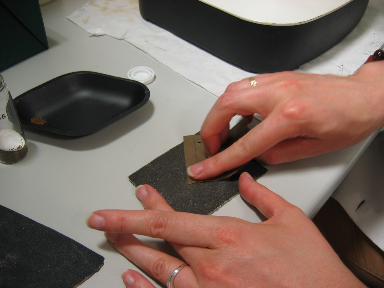 Universo Botánico: Las Semillas III. Tratamientos pre-germinativos