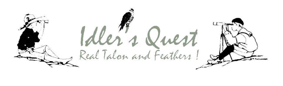 Idler's Quest Birding