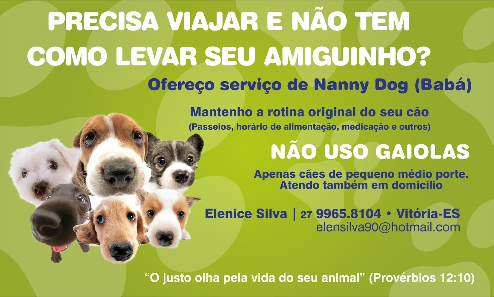 NANNY DOG BABÁ DE CACHORROS (ANIMAIS)