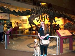 Sophie and a dinosaur