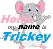 HELLO. my name is