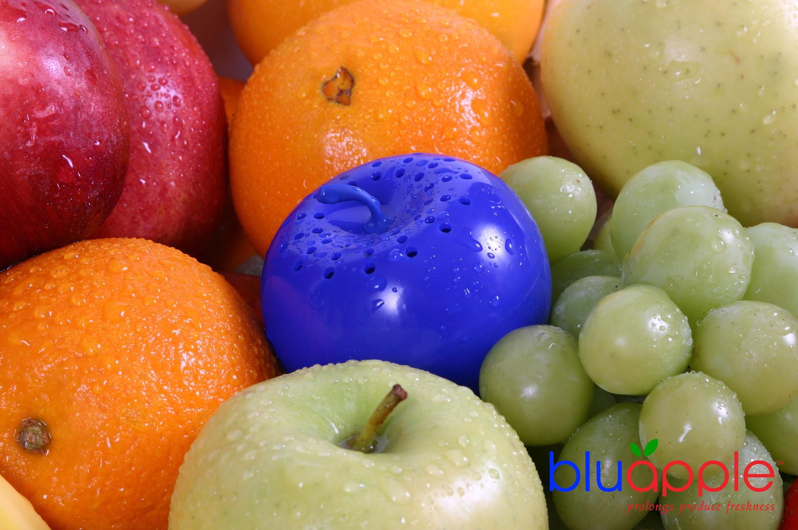 Emmy's Deals Blue Apple Review