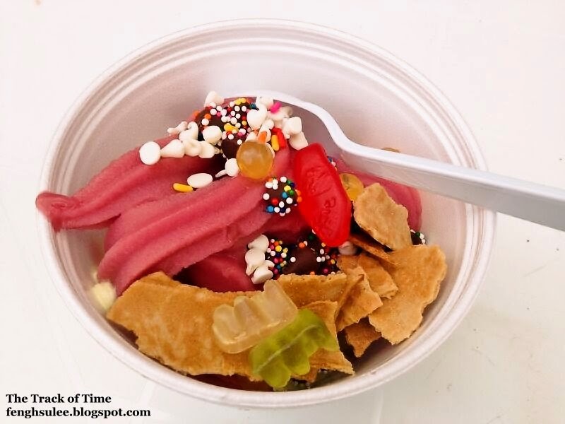 SweetFrog Premium Frozen Yogurt The Track of Time