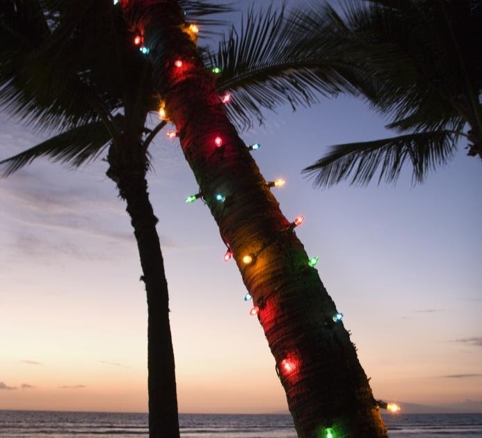 Nate's Nonsense Why is Christmas Special?