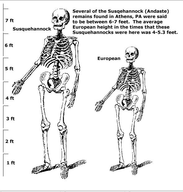 Horned Nephilim Skeletons Found In Valley Of Giants? 12