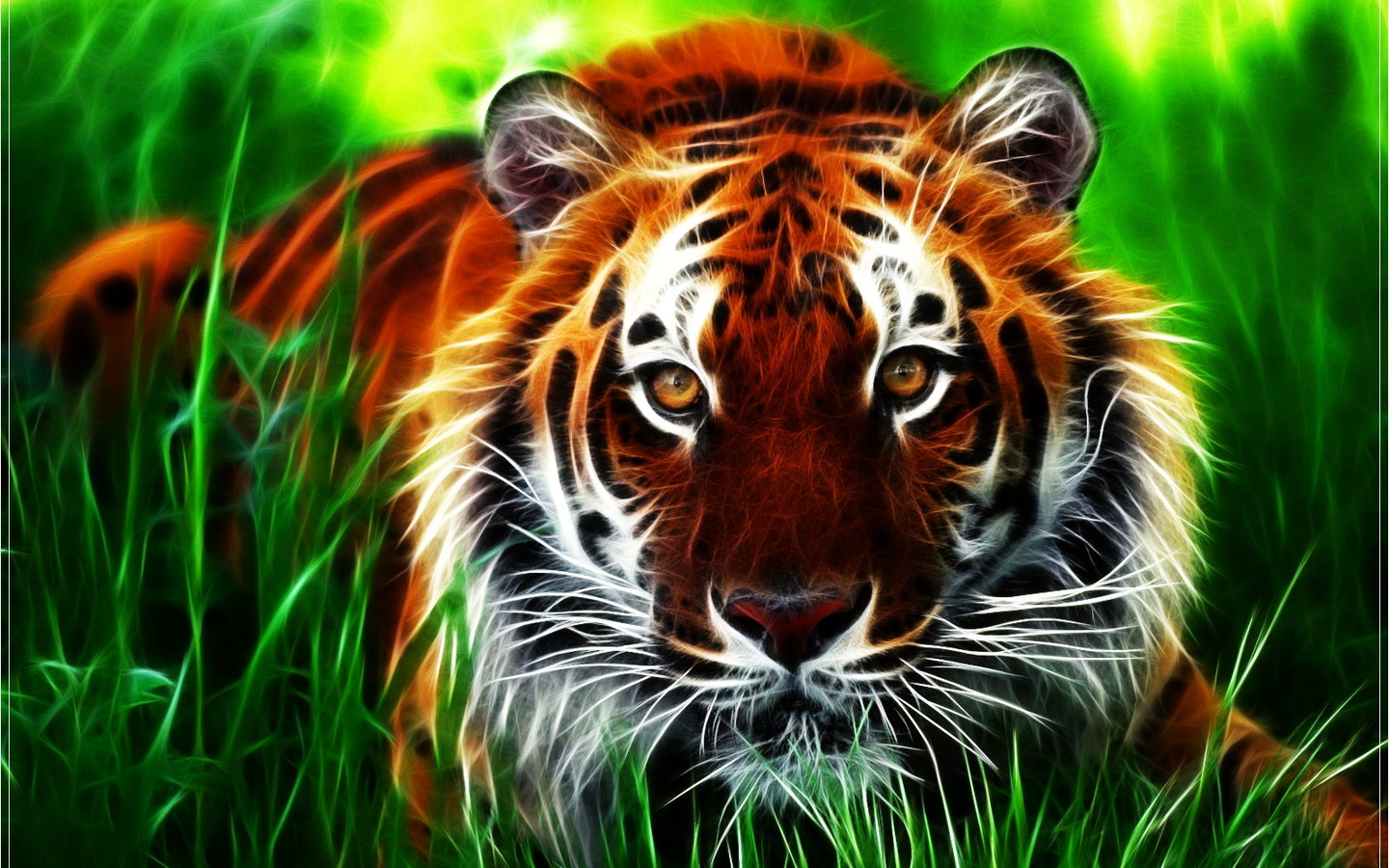 Imagem de Fundo - Desenho de tigre | Imagens de Fundo