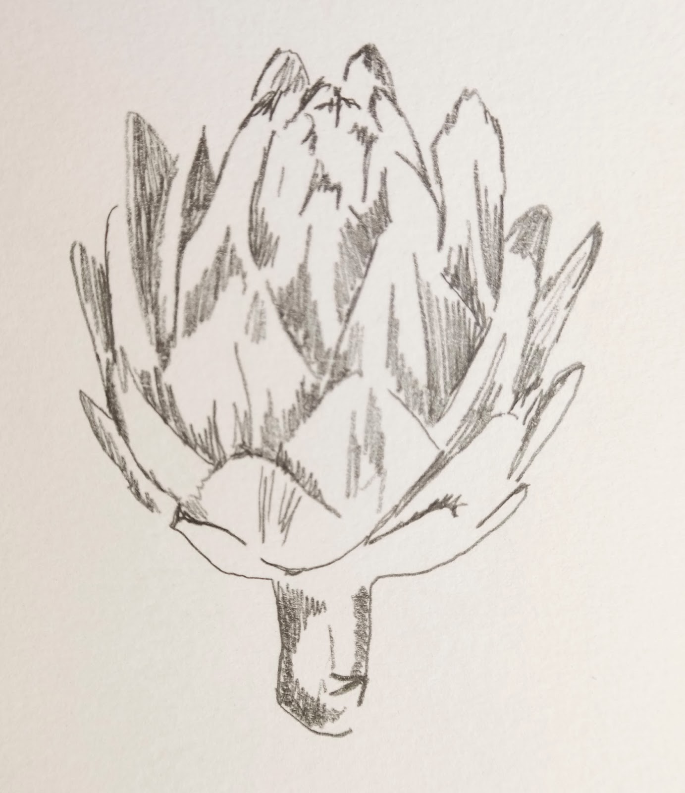 Line drawing OCAdrawing1jfm