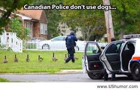 Can We Have a New Witch Ours Melted: Only In Canada