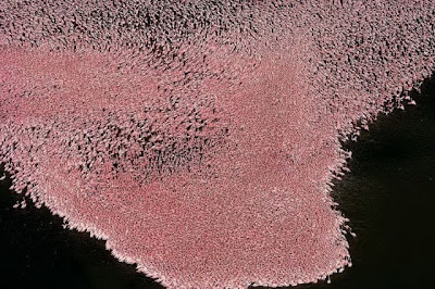 foto bumi dari udara @ www.digaleri.com