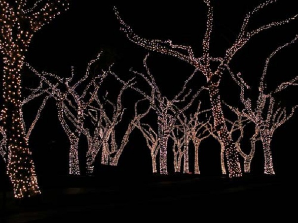 Bright Christmas: Branch Wrapping Trees (THE RIGHT WAY!!!)