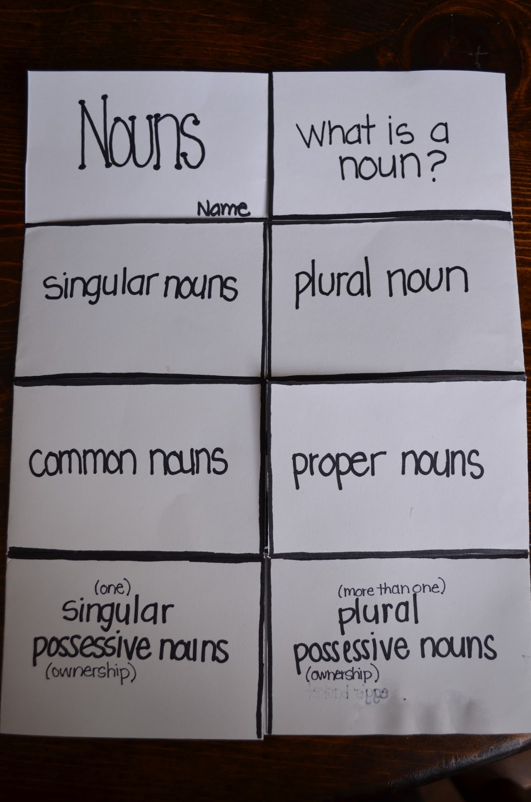 dandelions and dragonflies What We Have Been Up To...