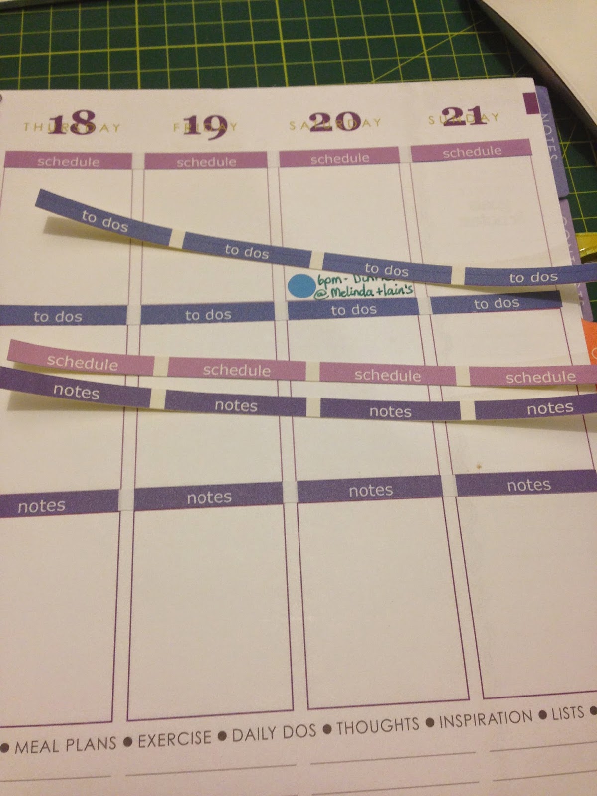 Organised Lifestyle My Erin Condren Flip Through