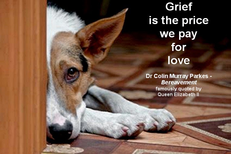 ShukerNature: ANIMAL GRIEF AND MOURNING