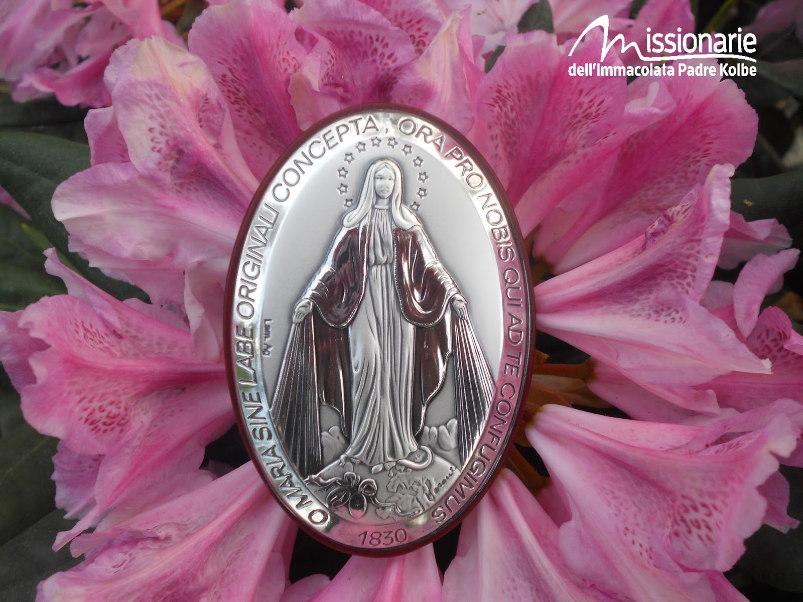 Novena Alla Madonna Della Medaglia Miracolosa