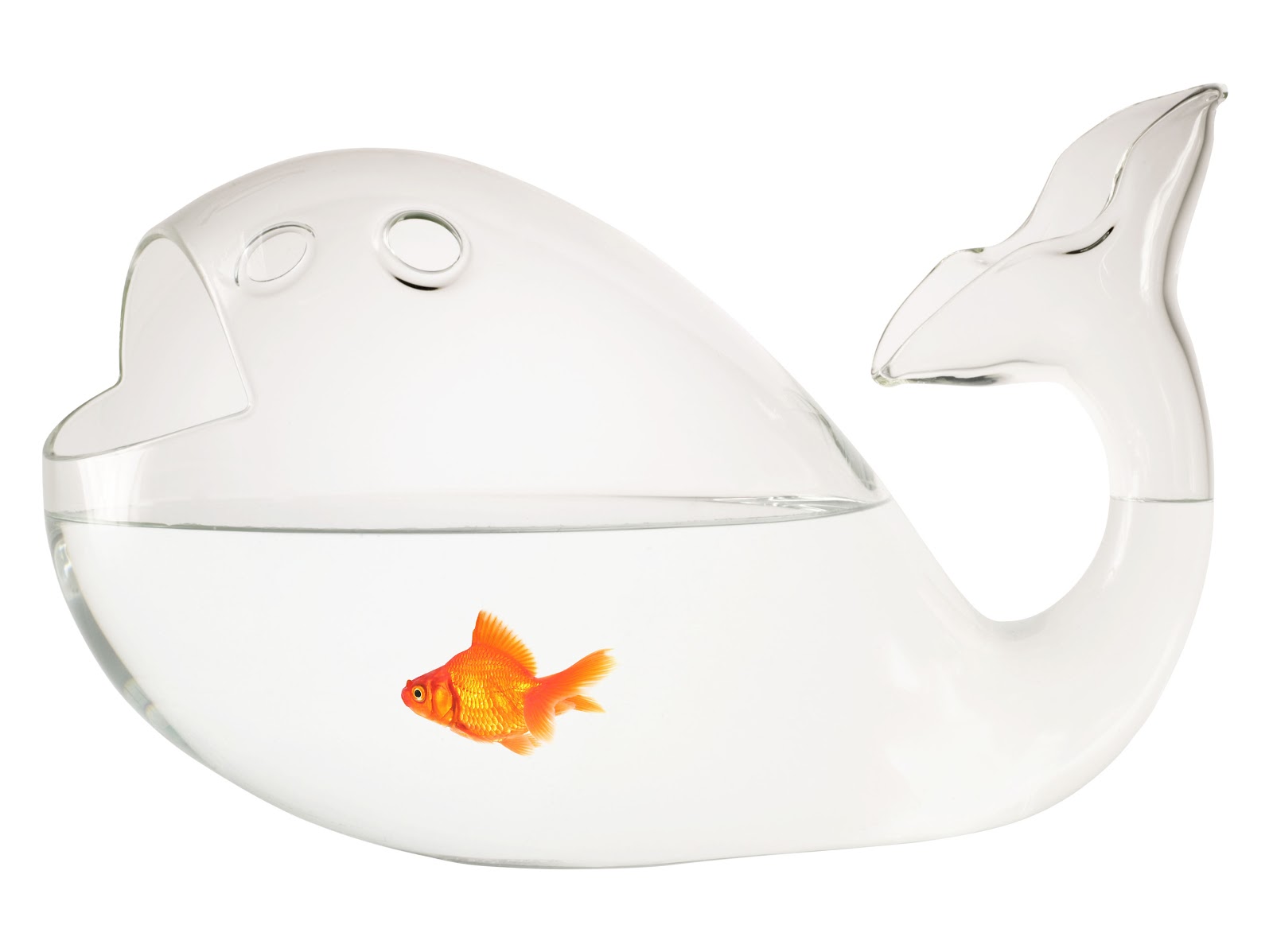 Simply Creative Creative Fish Bowls