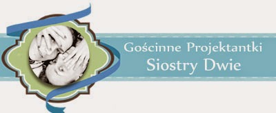 http://blogprzyda-sie.blogspot.com/2014/11/goscie-listopada-siostrydwie.html