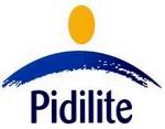 Pidilite Logo
