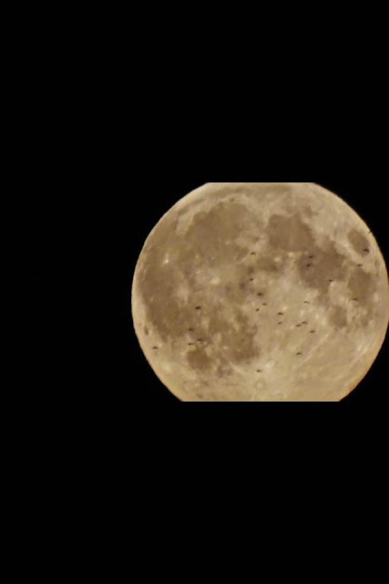 UFO Moon Huge Fleet Of UFO's Caught Near The Moon 2015, UFO Sightings