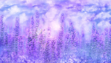 The Violet Lavender