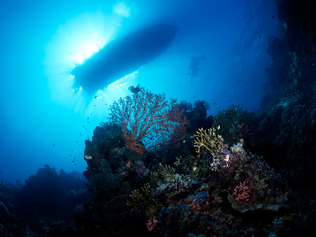 gambar bawah laut, dalam laut