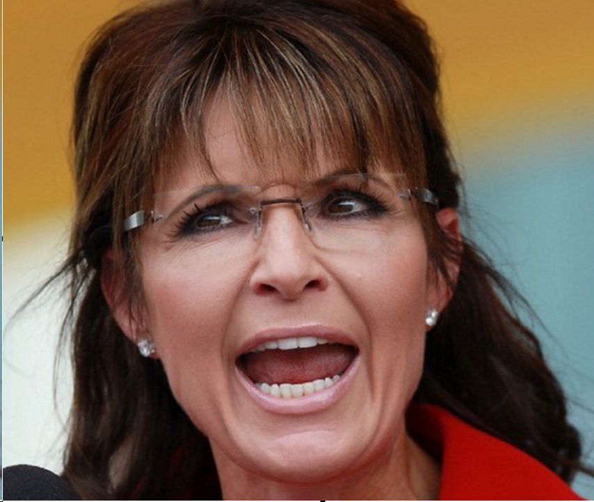 [Image: Palin+in+Iowa6.jpg]