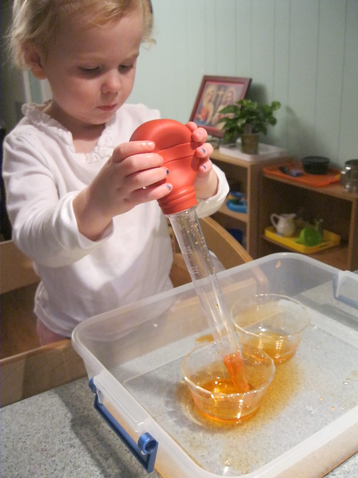 Montessori Messy Turkey Baster Transfer Work