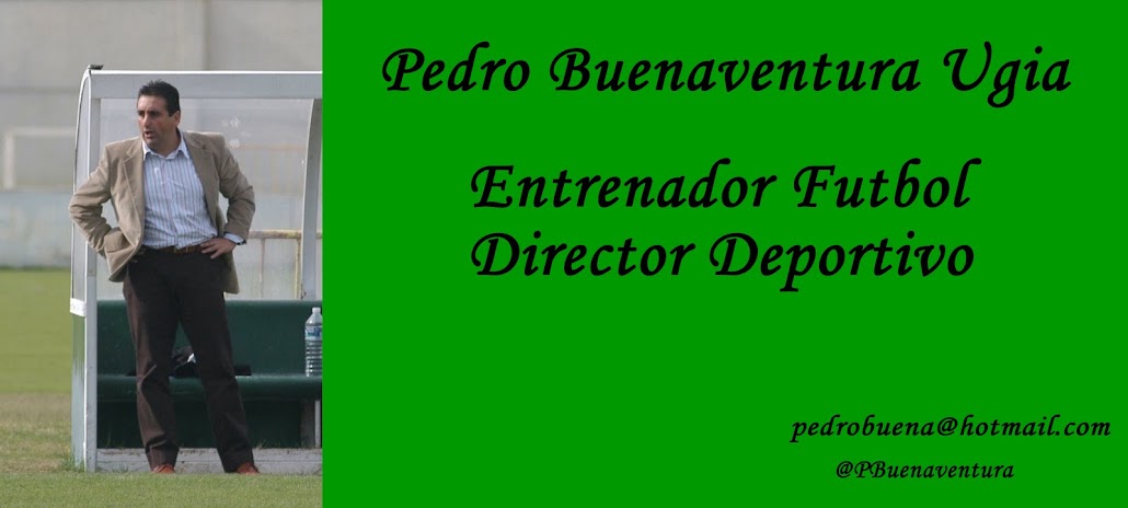 Pedro Buenaventura Ugia