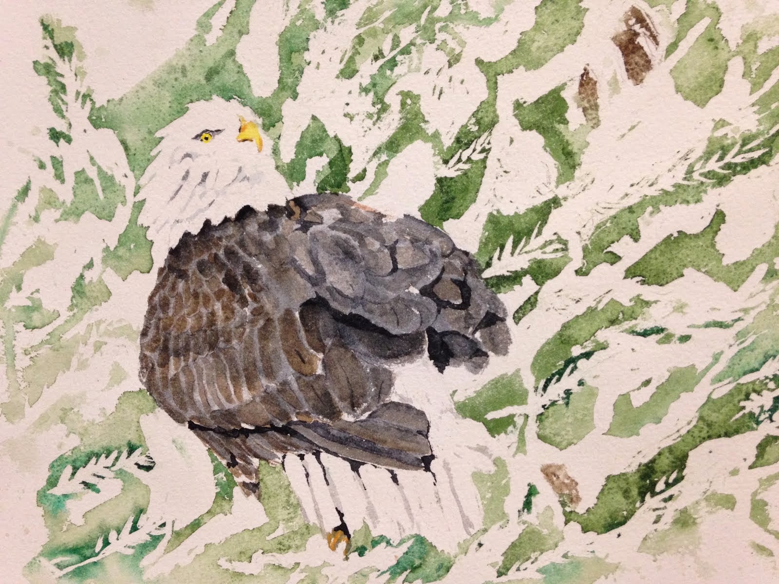 Eagle at Amalga in Winter