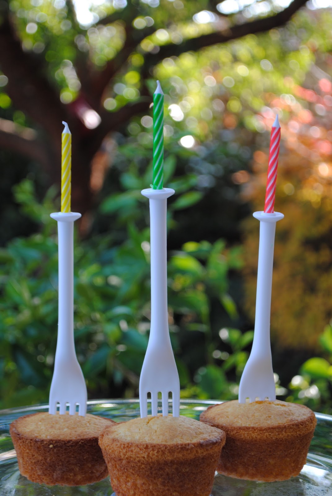 Jac o' lyn Murphy Chili Birthday Wishes!