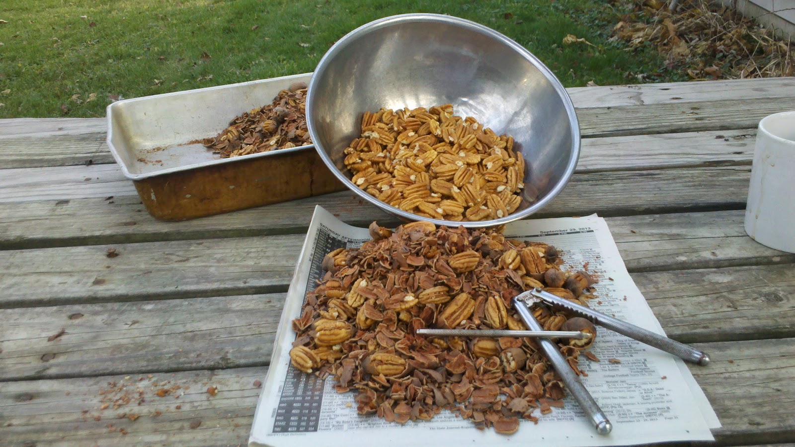 Observations in Agriculture Pecans from Illinois