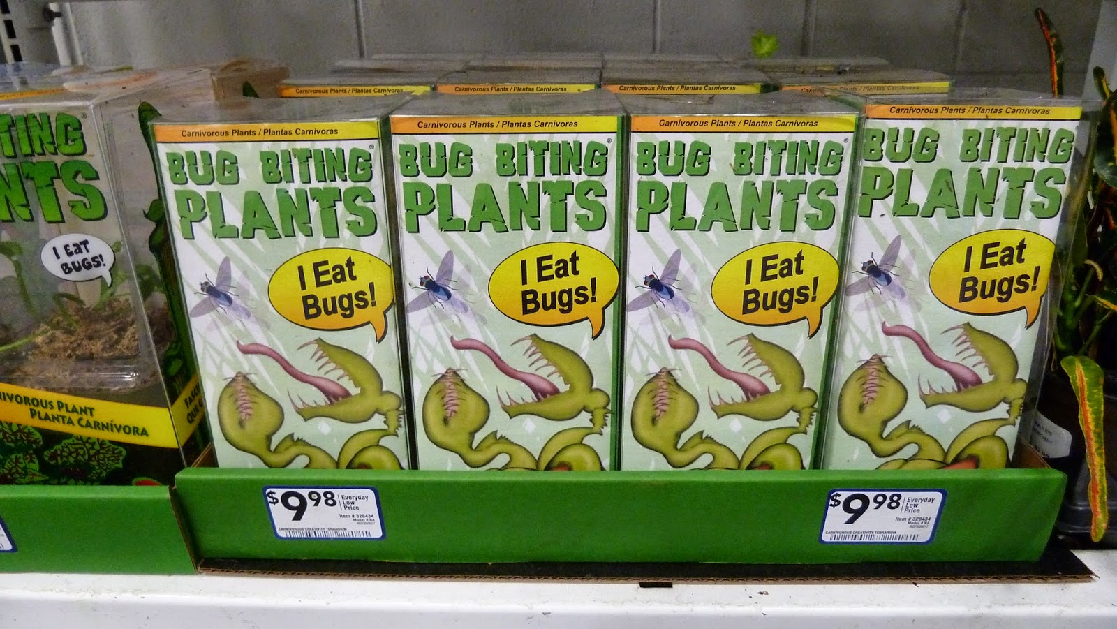 Hooray! Plants! Bug Biting Plants Terrarium Kit from Lowe�s