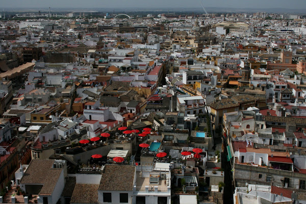 View from top of the Cathedral, Sevilla, Spain