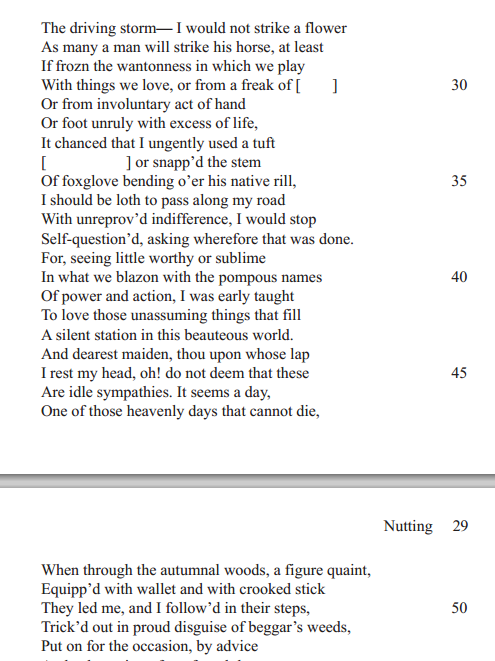 wordsworths nutting Abstract this article applies the insights of affect studies to william wordsworth's controversial “nutting” (1800), a poem whose sudden shifts in tone fuel. wordsworths nutting Abstract this article applies the insights of affect studies to william wordsworth's controversial “nutting” (1800), a poem whose sudden shifts in tone fuel.