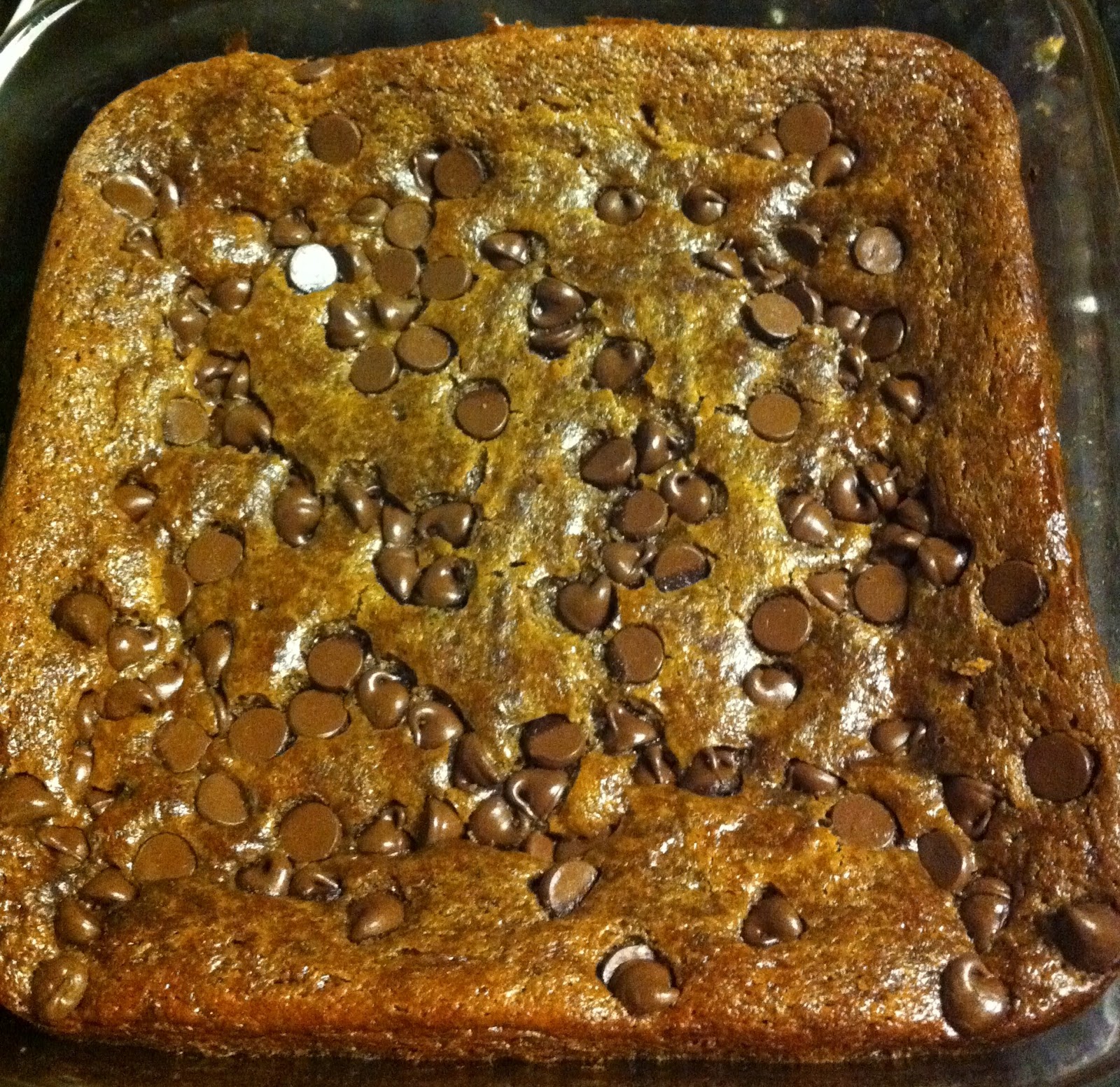 Biting The Hand That Feeds You Sunny Squash "Greenies" Sunflower