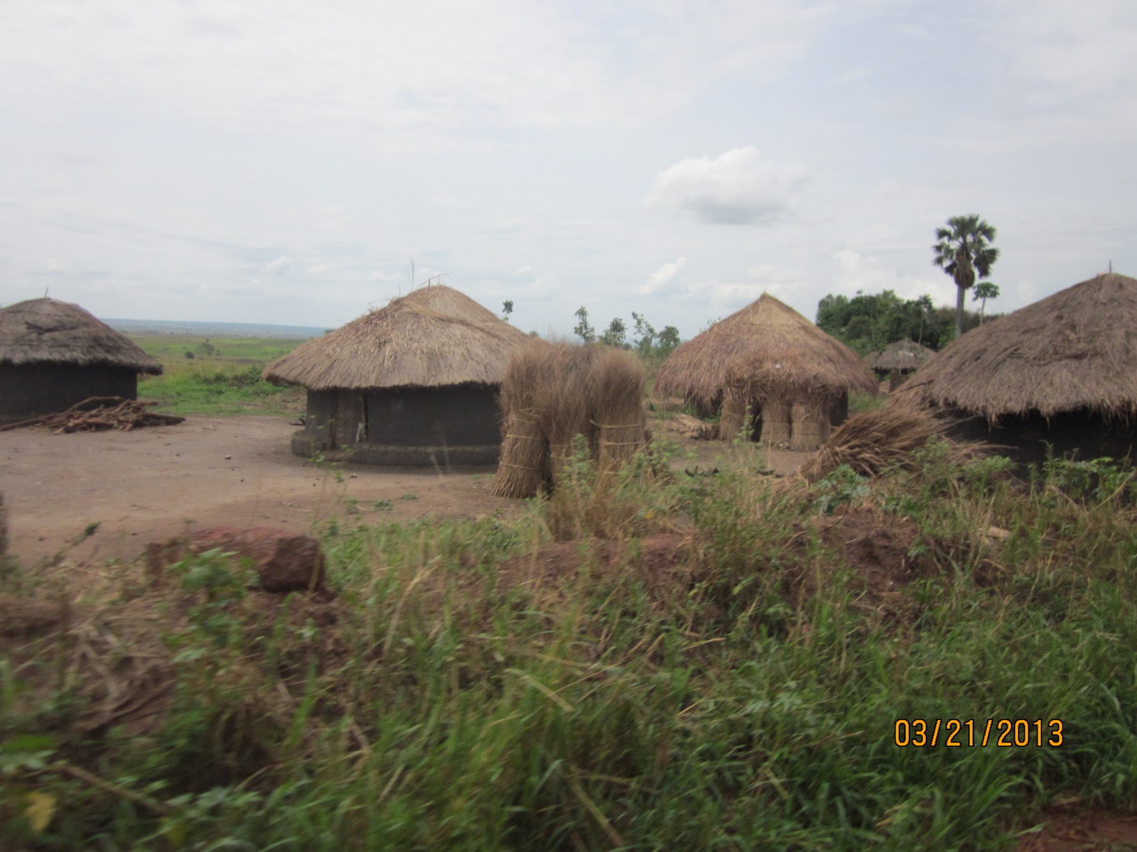 Crawdad on the Loop Gulu to Entebbe, let's stop in Murchison Falls