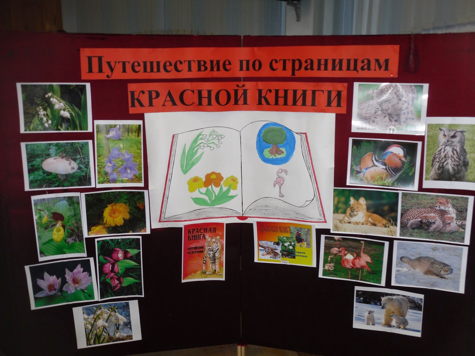 Путешествие по страницам красной книги