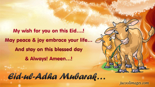 essay on eid ul azha in urdu essay on eid ul azha in urdu