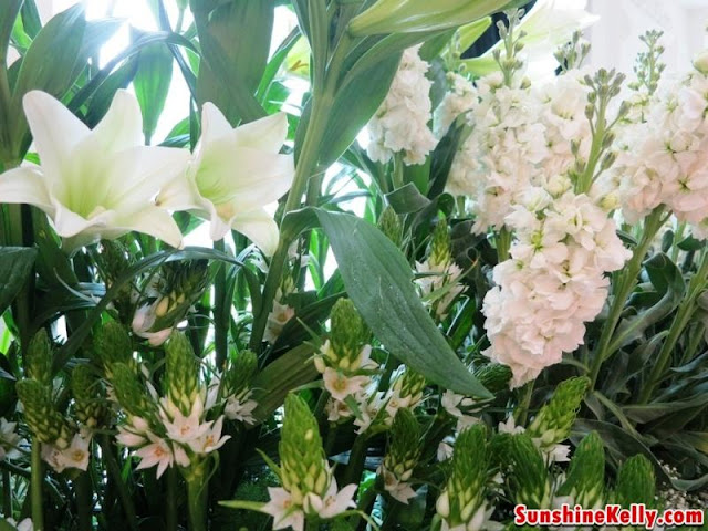 5 Intelligent White Flowers, sea lily, narcissus, bellis, white lupin, wintergreen